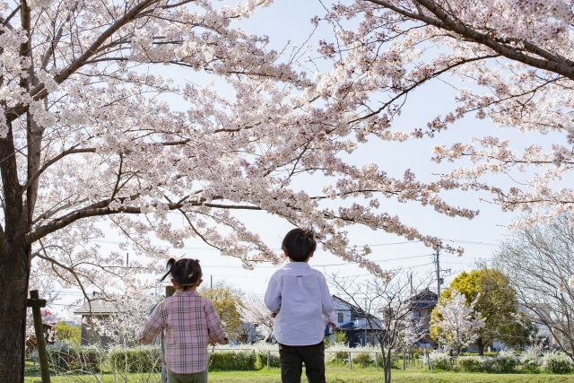 桜の木の下で遊ぶ子供