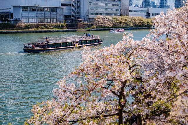 大川　桜