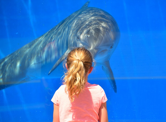 サマーキャンプ　水族館